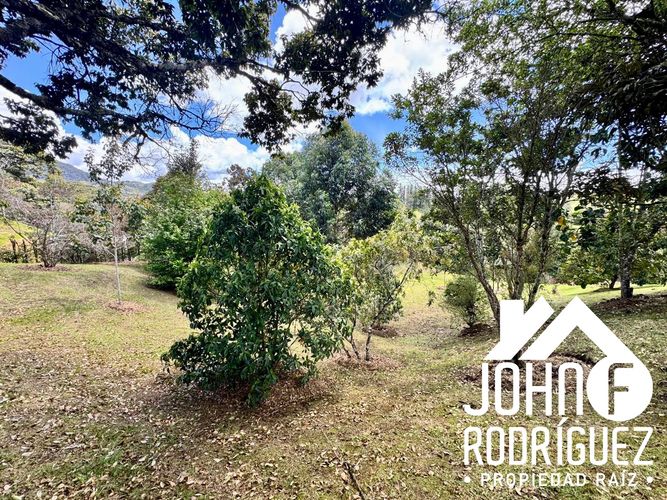 Lote en venta en So�Adora, El Carmen de Viboral, 4755 m² · foto 20 de 20