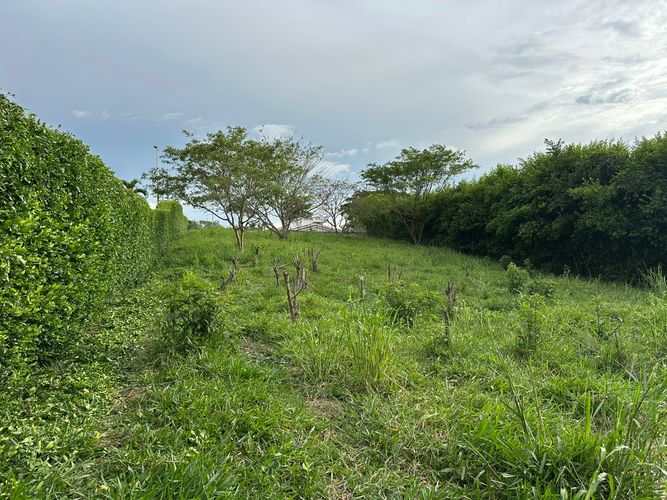 Lote en venta en Cerritos, Pereira, 2681 m² · foto 2 de 9