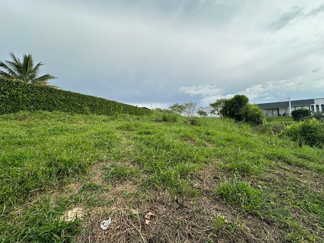Lote en venta en Cerritos, Pereira, 2681 m² · foto 6 de 9