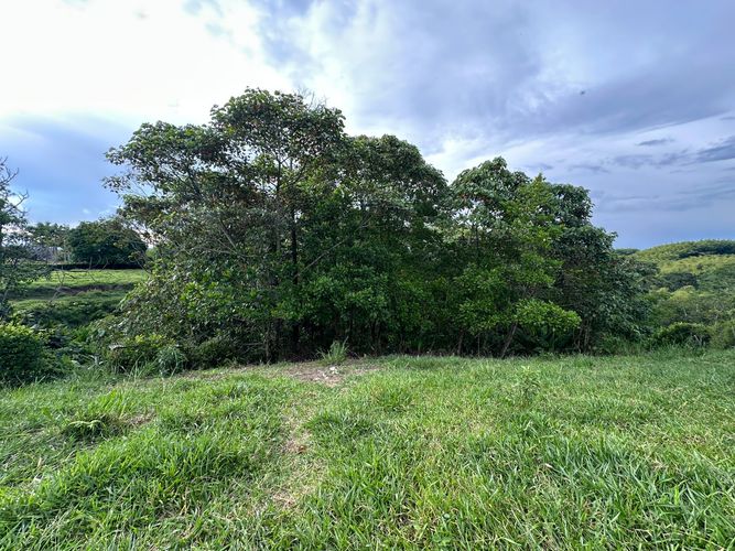 Lote en venta en Cerritos, Pereira, 2681 m² · foto 7 de 9