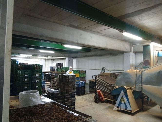 Bodega en arriendo en Colasania, Medellín, 1200 m² · foto 4 de 23