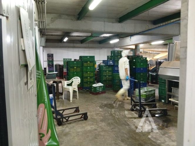 Bodega en arriendo en Colasania, Medellín, 1200 m² · foto 6 de 23