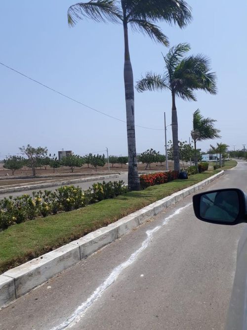 Lote en venta en Pastoral Social, Barranquilla, 250 m² · foto 3 de 12