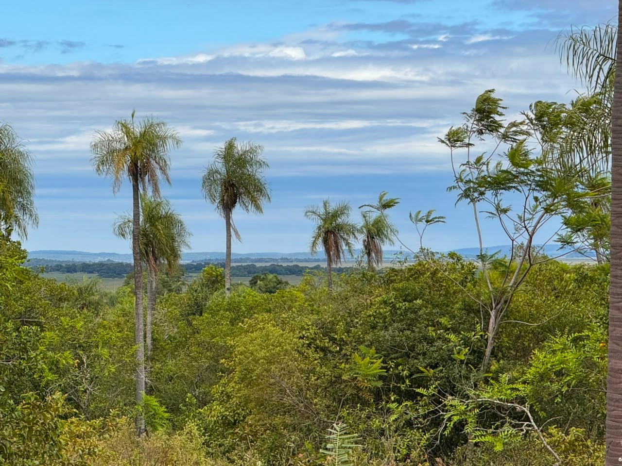 Vendo 6 hectáreas en Carapegua — foto 2