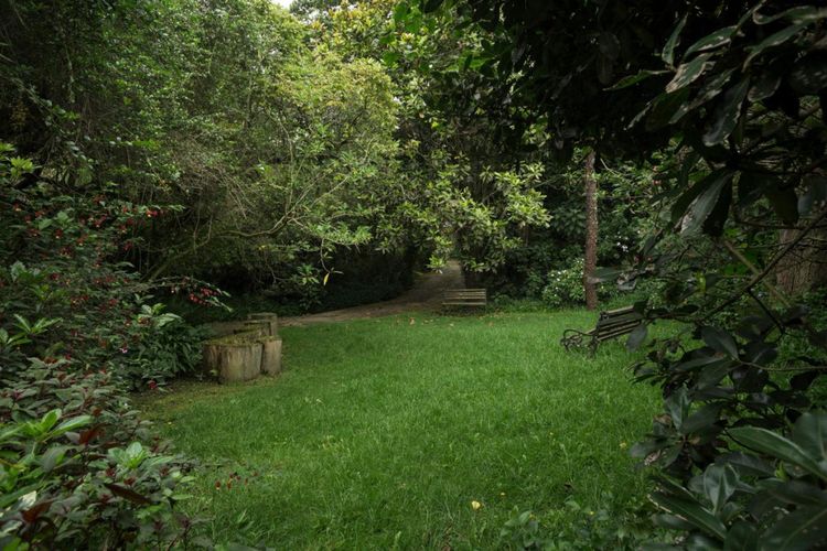 Casa de 3 alcobas en venta en Provenza, Bogotá, 238 m² · foto 11 de 12