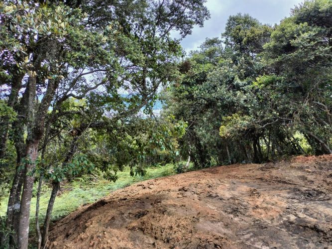 Lote en venta en Ub Los Geranios, Chía, 10000 m² · foto 2 de 3