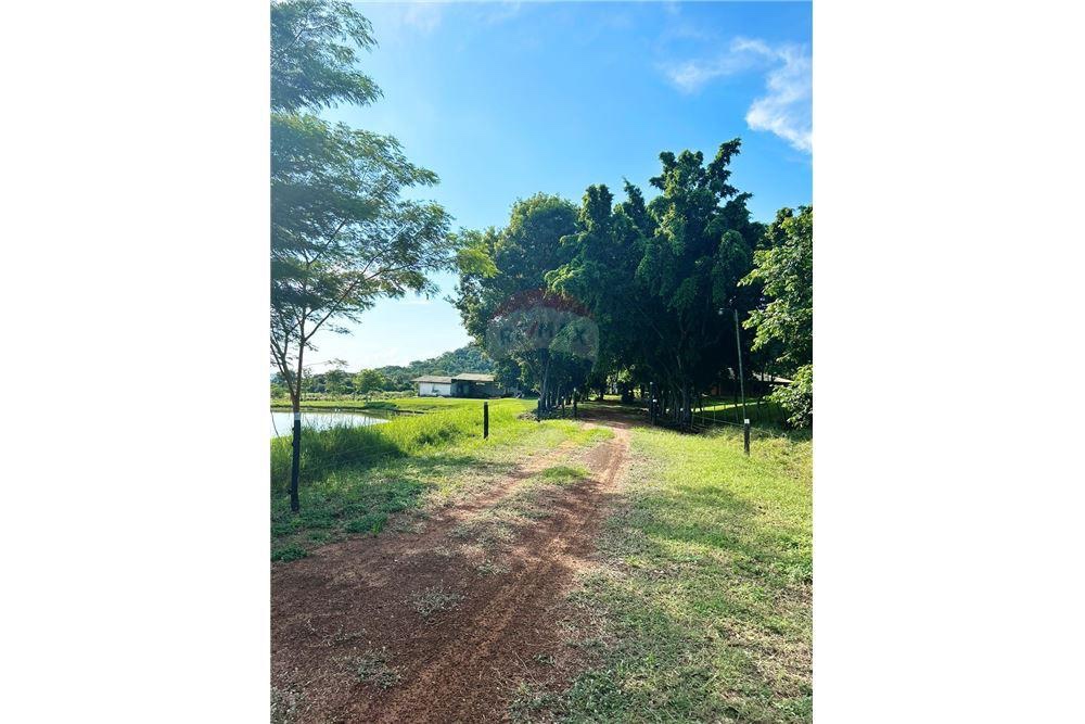VENDO ESTANCIA EN YBYCUI - CARBON KUE — foto 3
