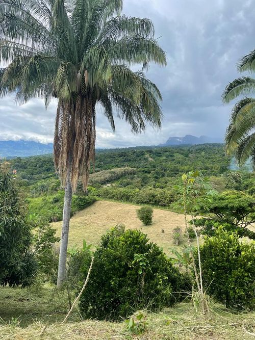 Lote en venta en Mesa De Yeguas, Tocancipá, 8884 m² · foto 14 de 22