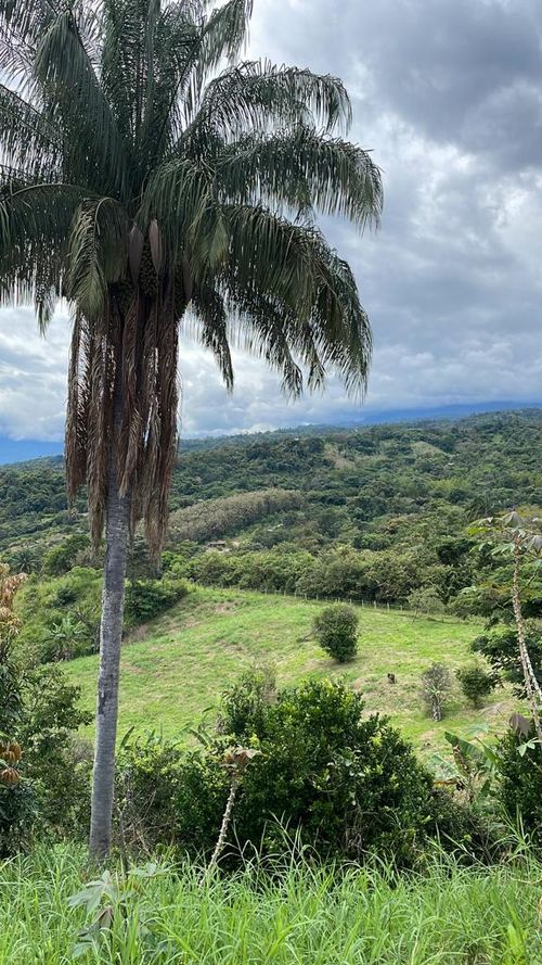 Lote en venta en Mesa De Yeguas, Tocancipá, 8884 m² · foto 20 de 22