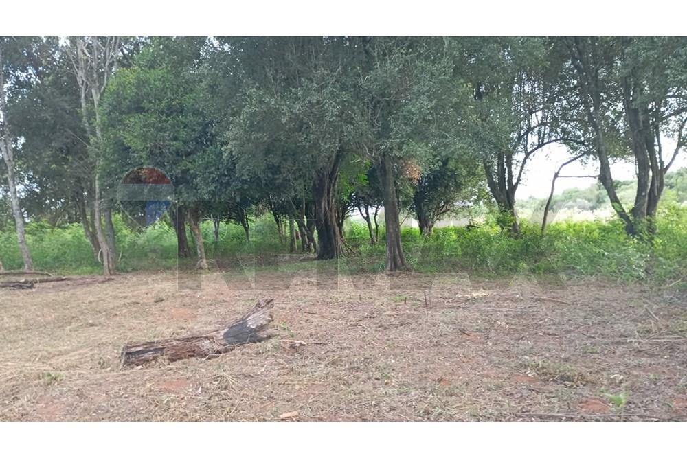 TERRENO DE 34 HECTÁREAS EN GUAIRÁ - SAN FRANCISCO EN VENTA — foto 2