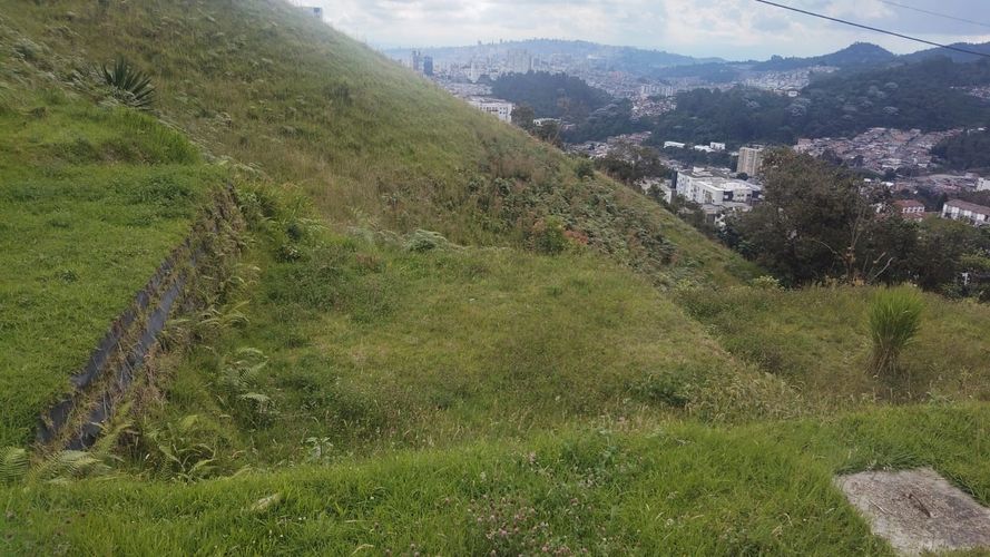 Lote en venta en Cerro De Oro, Manizales, 238 m² · foto 8 de 17