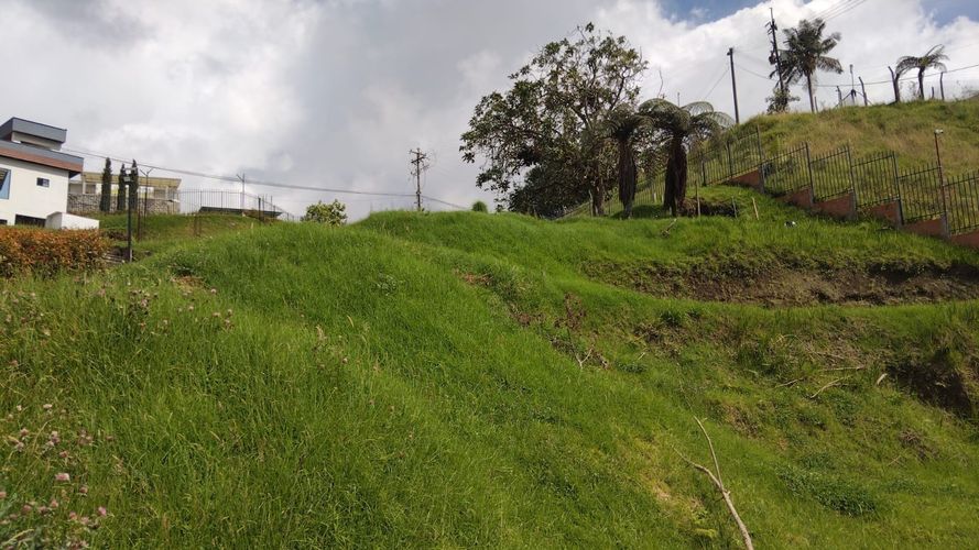 Lote en venta en Cerro De Oro, Manizales, 238 m² · foto 11 de 17