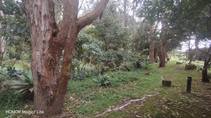 Casa de 3 alcobas en venta en Rincon Santo, Cajicá, 283 m² · foto 4 de 24
