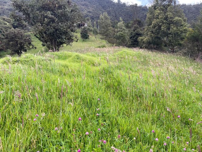 Finca en venta en Centro, La Calera, 900 m² · foto 2 de 19
