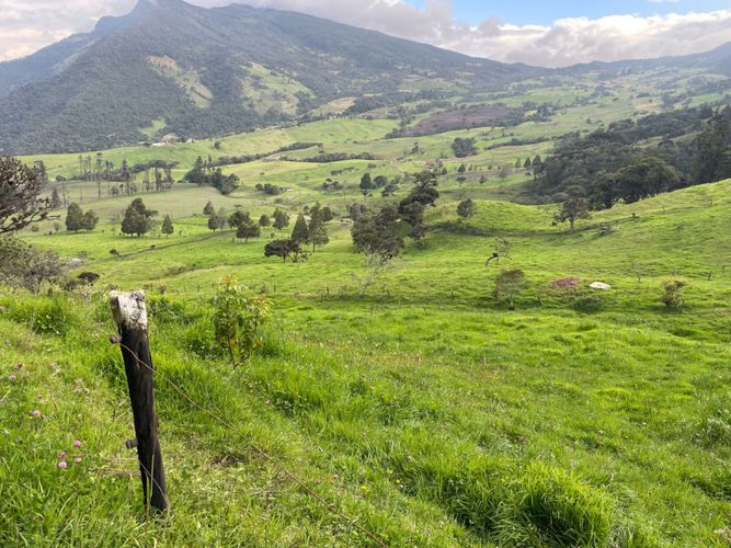 Finca en venta en Centro, La Calera, 900 m² · foto 3 de 19