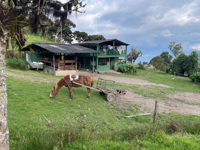 Finca en venta en Centro, La Calera, 900 m² · foto 15 de 19