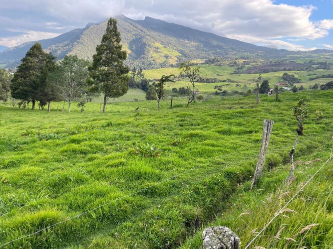 Finca en venta en Centro, La Calera, 900 m² · foto 17 de 19