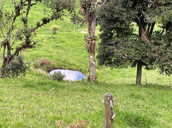 Finca en venta en Centro, La Calera, 900 m² · foto 18 de 19