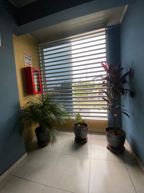 Apartamento de 20 alcobas en venta en Junin, Cali, 1200 m² · foto 11 de 16