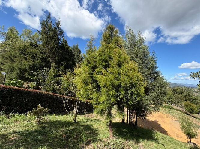 Lote en venta en San Isidro, Guarne, 2095 m² · foto 6 de 9