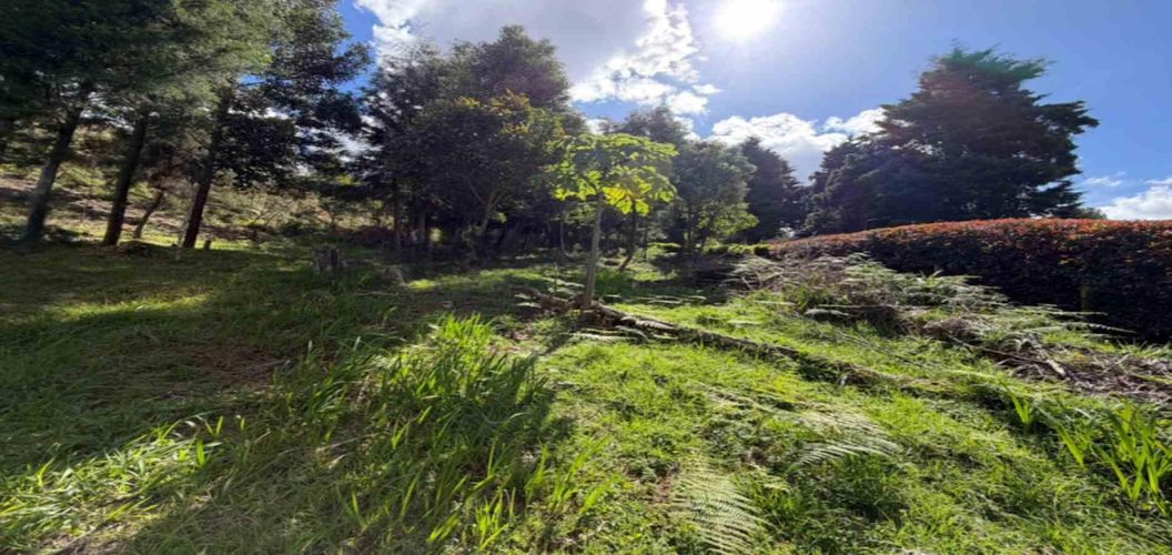 Lote en venta en San Isidro, Guarne, 2095 m² · foto 7 de 9