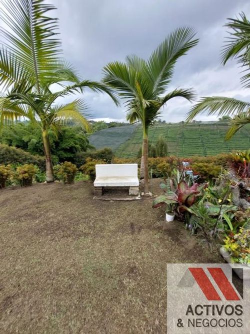 Casa de 4 alcobas en venta en El Carmen De Viboral, El Carmen de Viboral · foto 7 de 24