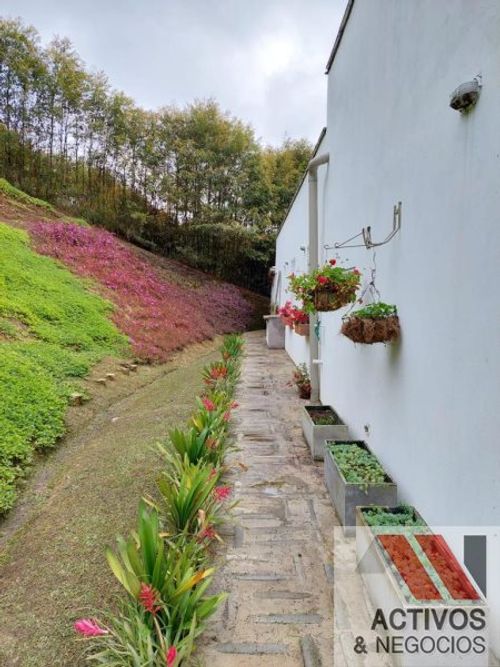 Casa de 4 alcobas en venta en El Carmen De Viboral, El Carmen de Viboral · foto 17 de 24