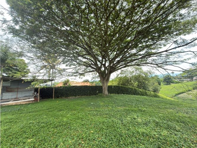 Lote en venta en Cerritos, Pereira, 2635 m² · foto 4 de 16