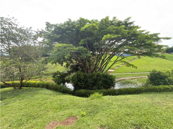 Lote en venta en Cerritos, Pereira, 2635 m² · foto 8 de 16