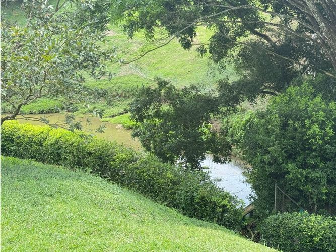 Lote en venta en Cerritos, Pereira, 2635 m² · foto 15 de 16