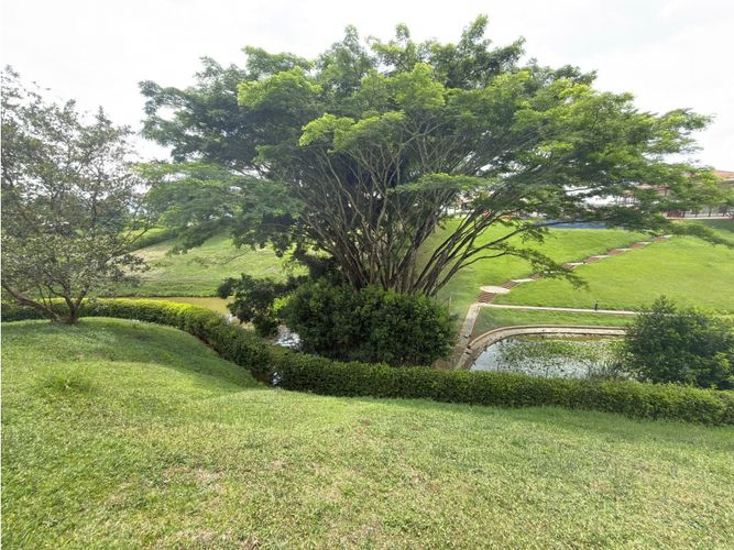 Lote en venta en Cerritos, Pereira, 2635 m² · foto 16 de 16