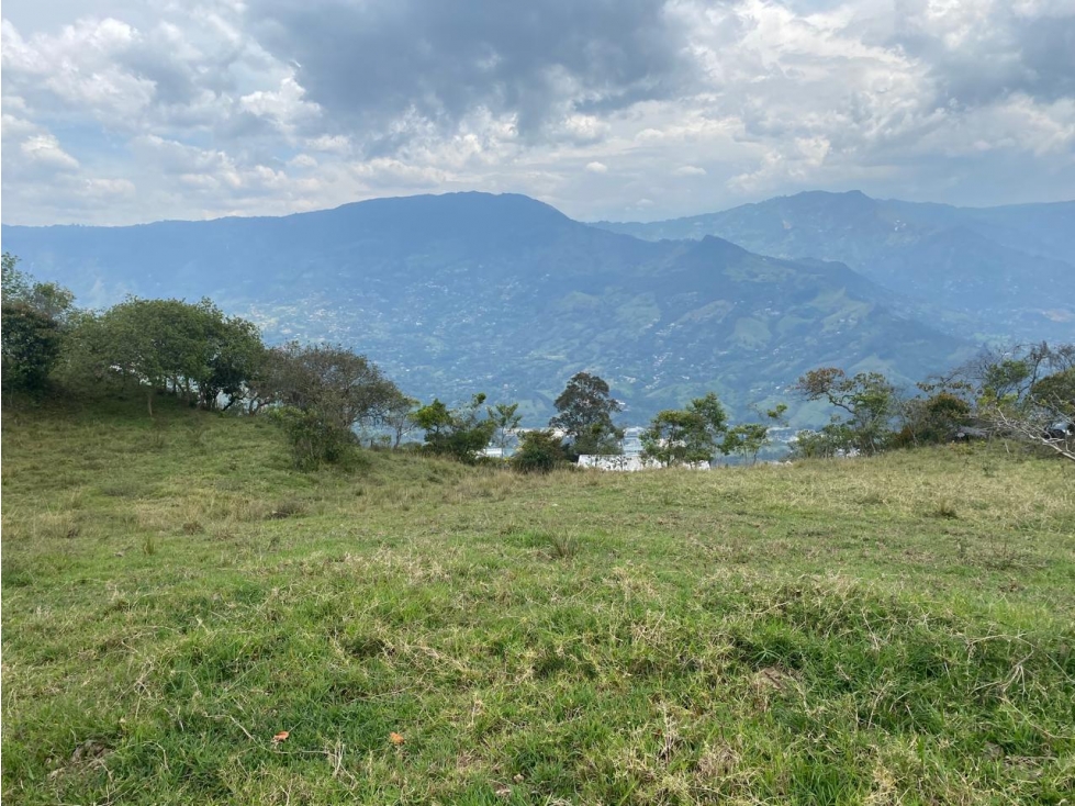 Land in Centro (5000 m²) for Sale