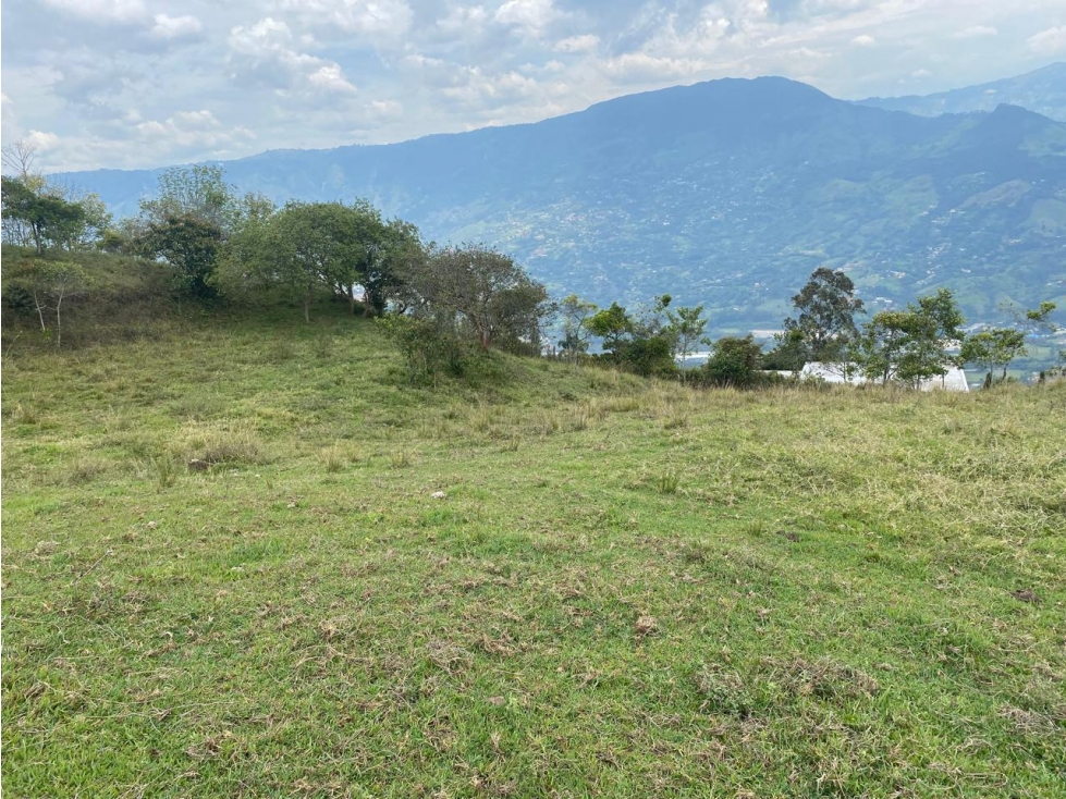 Land in Centro (5000 m²) for Sale - 2