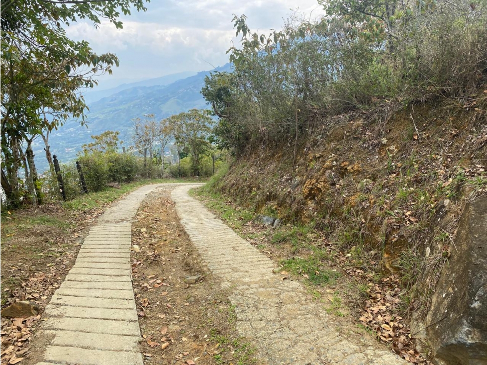 Land in Centro (5000 m²) for Sale - 3