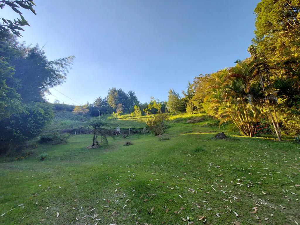 3BR Country House in El rosal for Sale