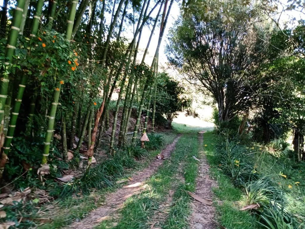 3BR Country House in El rosal for Sale - 4