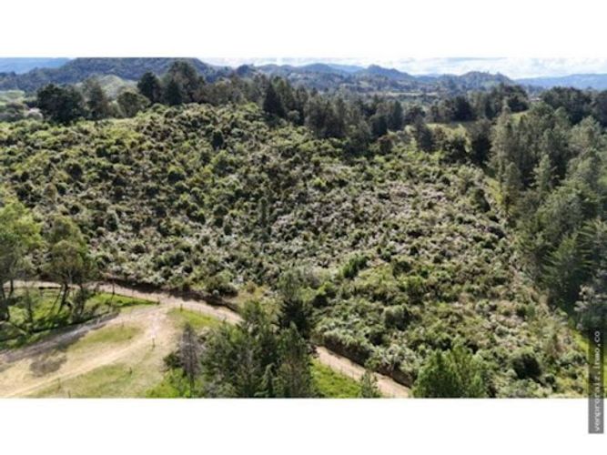 Lote en venta en La Ceja, 38400 m² · foto 2 de 9