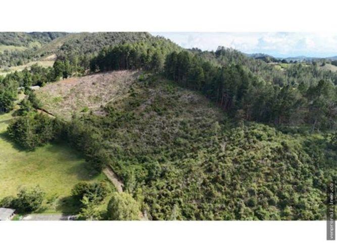 Lote en venta en La Ceja, 38400 m² · foto 3 de 9