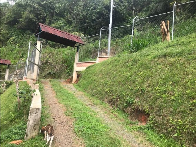 Finca en venta en El Faro, Cali, 17038 m² · foto 3 de 24