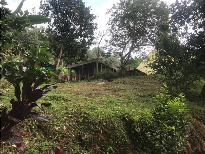 Finca en venta en El Faro, Cali, 17038 m² · foto 12 de 24