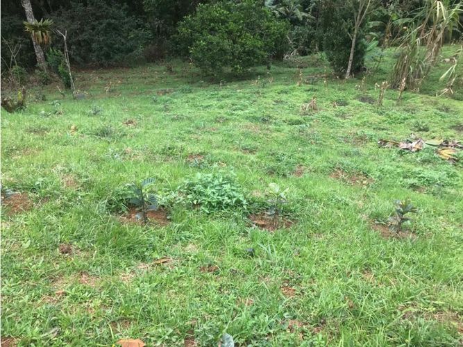Finca en venta en El Faro, Cali, 17038 m² · foto 13 de 24