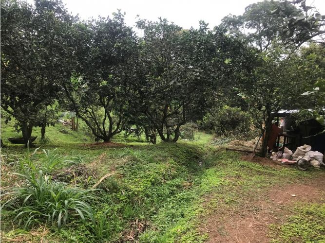 Finca en venta en El Faro, Cali, 17038 m² · foto 21 de 24