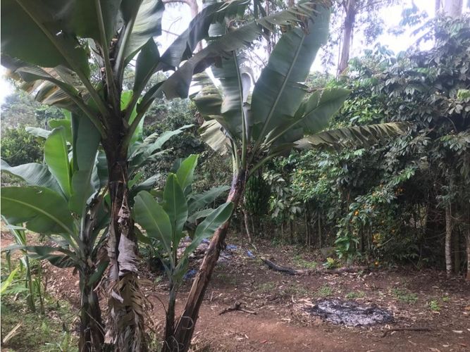 Finca en venta en El Faro, Cali, 17038 m² · foto 22 de 24