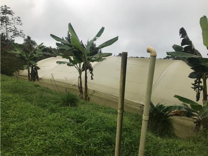 Finca en venta en El Faro, Cali, 17038 m² · foto 24 de 24