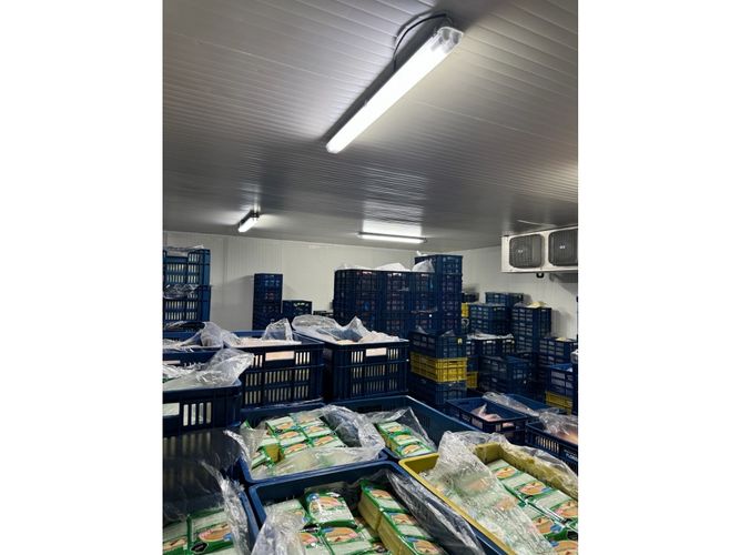 Bodega en arriendo en La Flora, Cali, 849 m² · foto 4 de 16