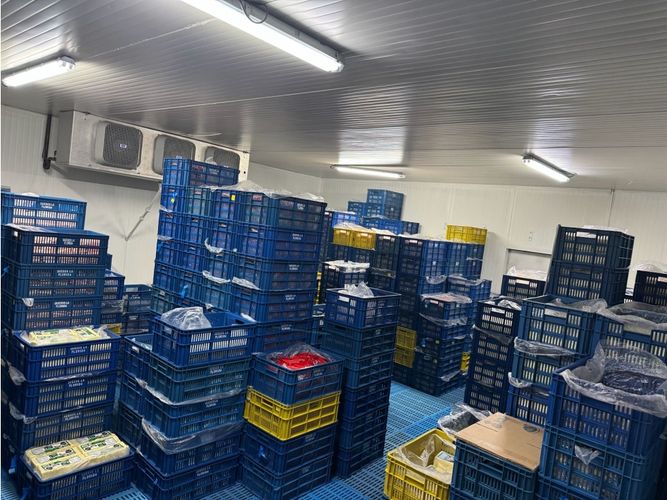 Bodega en arriendo en La Flora, Cali, 849 m² · foto 6 de 16