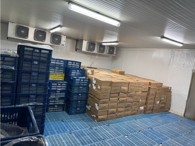 Bodega en arriendo en La Flora, Cali, 849 m² · foto 8 de 16