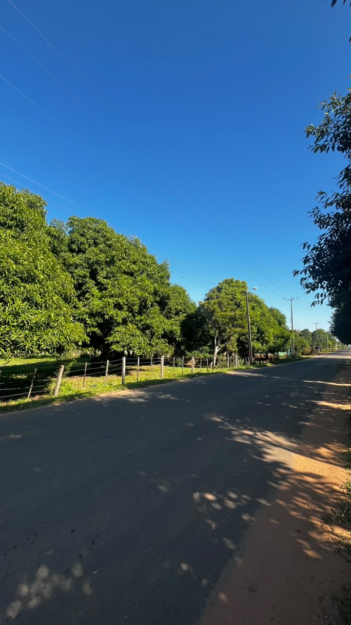 AMPLIO TERRENO EN VENTA SOBRE ASFALTO,NUEVA ITALIA — foto 3
