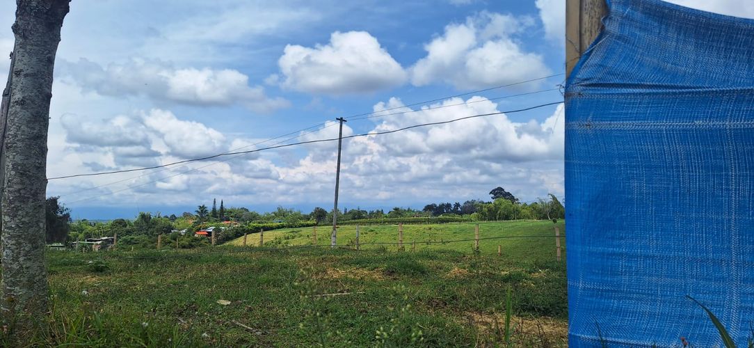 Lote en venta en Morelia, Pereira, 1500 m² · foto 4 de 7