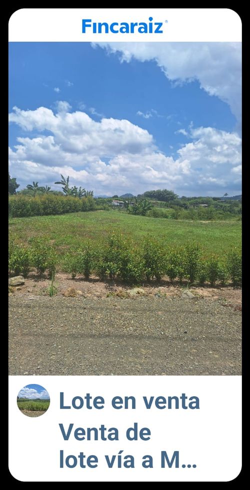 Lote en venta en Morelia, Pereira, 1500 m² · foto 5 de 7